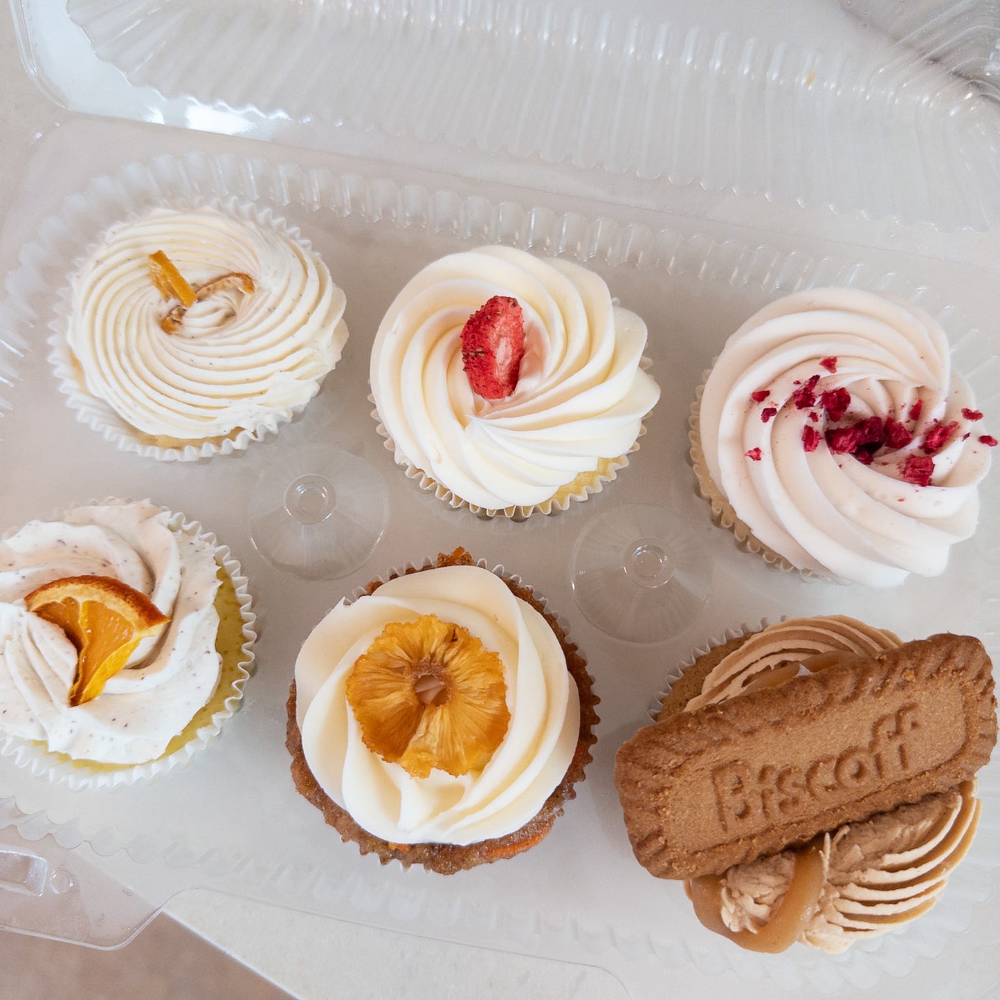 Cupcake 6 pack E